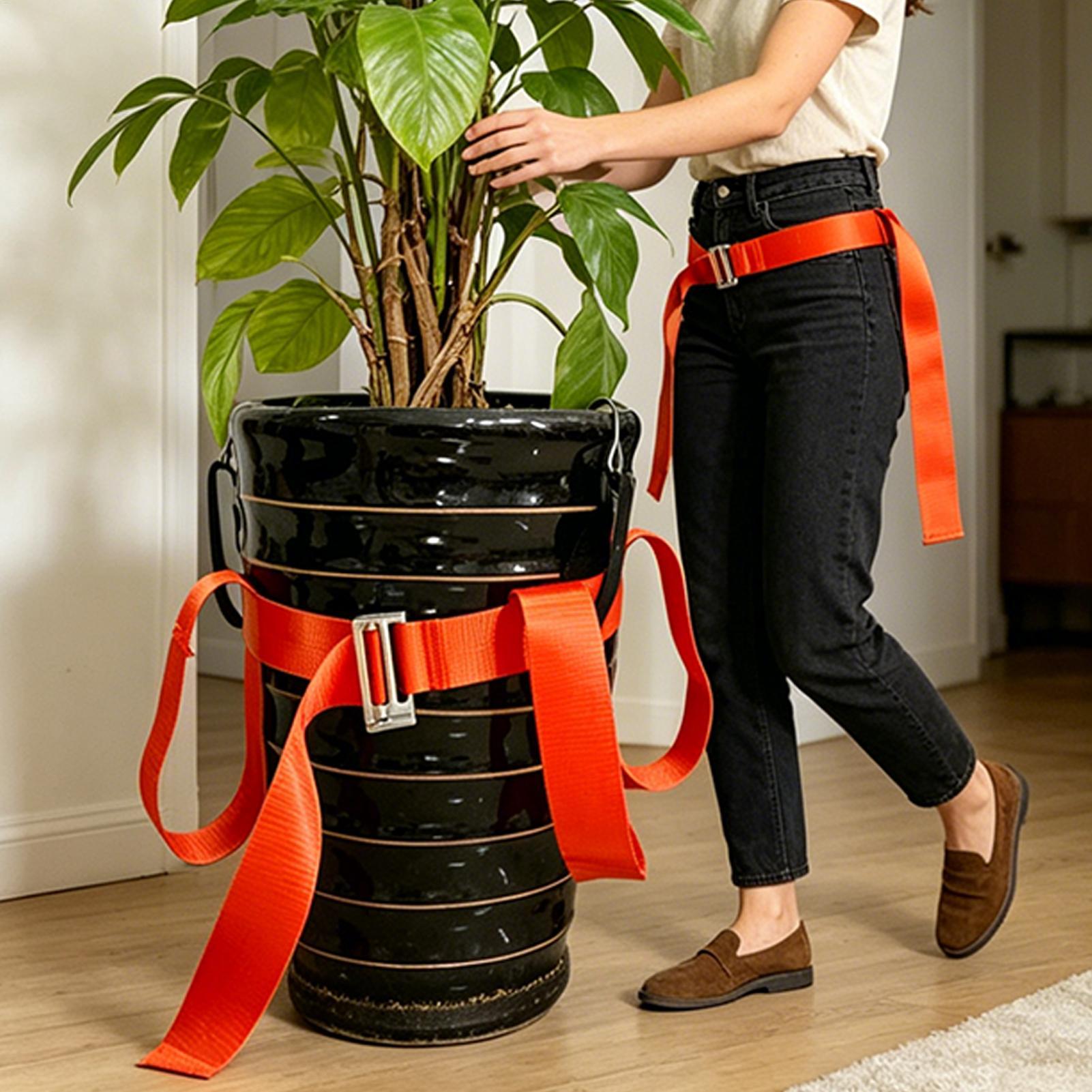 Landschaftsbau-Hebegurt, Pflan – Lifting Belt Bewertung und Preis