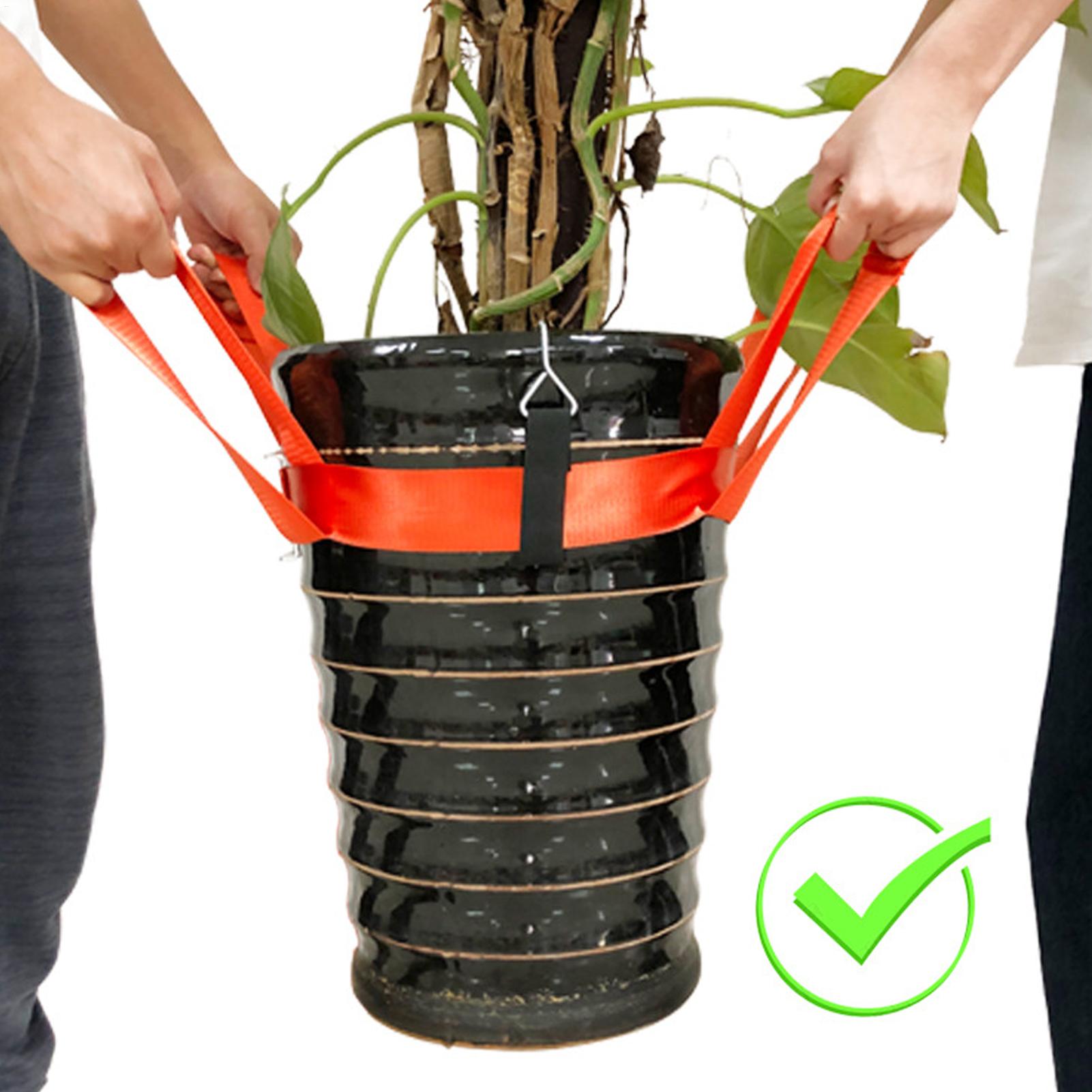 Landschaftsbau-Hebegurt, Pflan – Lifting Belt Bewertung und Preis